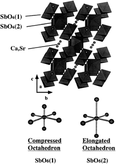 A schematic representation of weberite structure of M2Sb2O7 (M = Ca, Sr) and two kinds of octahedral SbO6.