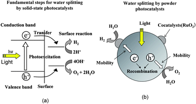 (a) Fundamental steps for water splitting by solid-state photocatalysts and (b) important factors in cocatalyst-loaded powder photocatalysts.