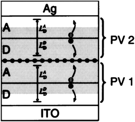 Schematic structure of a cross section of a tandem organic photovoltaic cell. The enhancement distance (shaded region) and exciton diffusion lengths LDD and LAD of the donor (D) layer and acceptor (A) layer of each device (PV1 and PV2) are labeled. Ag clusters are shown as ●. The schematic shows a representation of current generation in the tandem cell, where dissociation of excitons at the D–A interface leads to a hole in PV1 and electron in PV2 which contribute to photocurrent. The excess electron in PV1 and hole in PV2 recombine at the Ag cluster layer to prevent cell charging.30