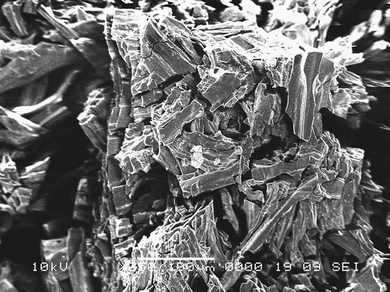 Scanning electron micrograph of part of pMDF strip.