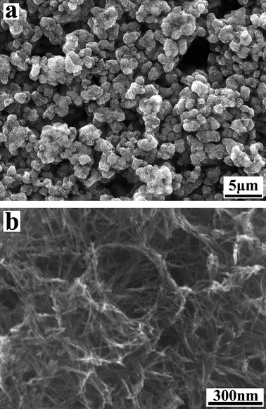 
            SEM images of as-prepared titanate nanotubes.