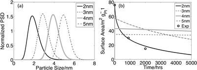 Potentiostatic runs at 0.95 V (a) Initial normalized particle size distributions with mean particle sizes of 2, 3, 4, and 5 nm. All distributions have the same variance (0.27 nm2)1 and mass loading (0.4 mgPt cm−2).1(b) Surface area vs. time for the four distributions. Experimental data is taken from Ferreira et. al.1