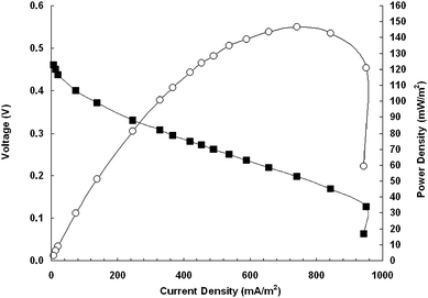 Polarization (■) and power density (○) curve. The voltage was measured at each external resistance (100–100,000 Ω) after three minutes of equilibration time.