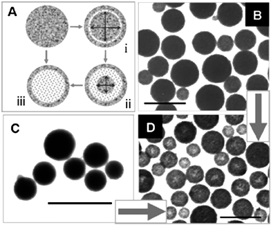 
            TEM images of SnO2nanostructures obtained by hydrothermal treatment of stannate with chemical addition of urea. SnO2 spheres prepared from the hydrothermal treatment of stannate with the chemical addition of urea: (a) Schematic illustration of the proposed inside-out ripening mechanism. Typical TEM image of (b) SnO2 nanospheres obtained with 6 h of reaction at 150 °C, and (c) amorphous SnO2 nanospheres obtained by ageing. (d) Typical TEM image of hollow SnO2 nanospheres prepared from the SnO2 nanospheres in (b) or (c). All scale bars are 500 nm. Reproduced with permission.72