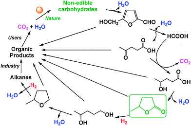 C6H6O3 (5-hydroxymethyl-furfural, HMF) → C5H8O3 (levulinic acid) + C1H2O2 (formic acid)→C5H10O3 (4-hydroxy-valeric acid)→C5H8O2 (GVL) → C5H10O2 (4-hydroxy-pentanol) → C5H10O1, (2-methyltetrahydrofuran, 2-Me-THF).6