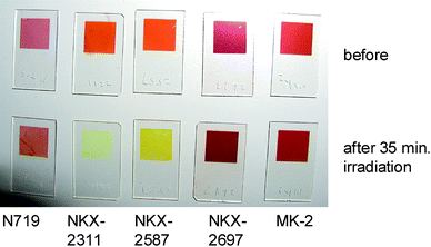 A photograph of the sample specimens of N719, NKX-2311, NKX-2587, NKX-2697 and MK-2 adsorbed on nanocrystalline TiO2 films before and after 35 min of light irradiation.