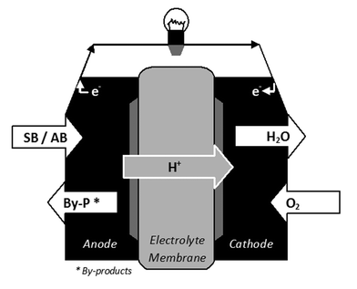 SB and AB, fuels of direct fuel cell.