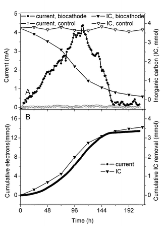 Electricity generation coupled to bicarbonate reduction in poised potential experiments at 0.242 V. (A) Current and bicarbonate concentration in the biocathode and abiotic control chamber. (B) Cumulative electrons and bicarbonate consumption in the biocathode chamber.