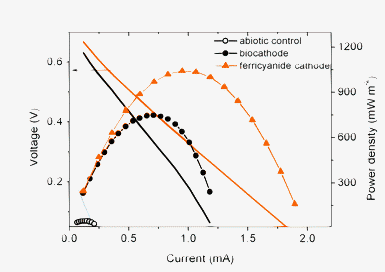 Comparison of MFC performance with abiotic control cathode, biocathode and ferricyanide cathode, respectively.