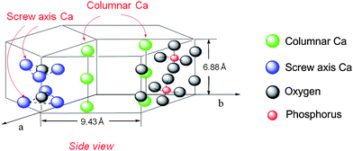 Structure of HAP.