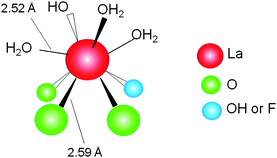 A proposed surface structure of apatite-bound La complexes.