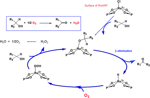 A possible reaction pathway using RuHAP.