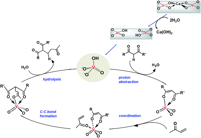 Proposed reaction pathway using VAP catalyst in water.