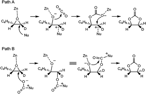 Possible reaction pathways for cycloaddition of CO2 to epoxide by ZnHAP catalyst.