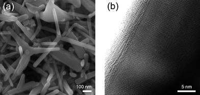 (a) The FESEM images of the tetrapod-like ZnO nanopowder after screen-printing on FTO glass, (b) the FETEM image of an arm of tetrapod-like ZnO.