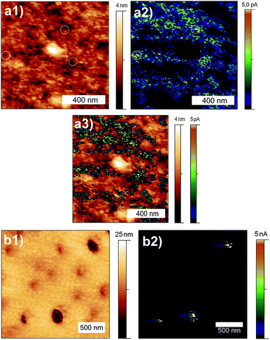 
            CPM image of (PEO)MA–PDMS–MA(PEO)/titania nanocomposite film plasma treated/annealed at 450 °C, and control sample of only (PEO)MA–PDMS–MA(PEO) film annealed at 450 °C. Topography (a1), current map (a2) and combined (a3) images of plasma treated/annealed nanocomposite film and polymer film after annealing at 450 °C as a reference sample (b1,2).