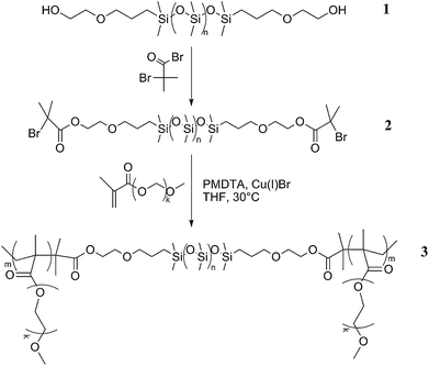 
            (PEO)MA–PDMS–MA(PEO) (3) amphiphilic block copolymer synthesis steps.