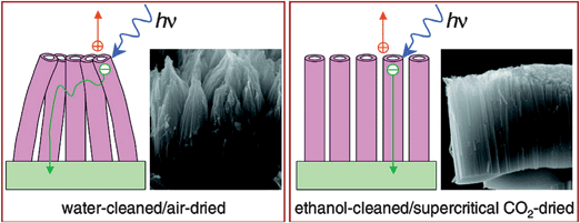 Well aligned titania NTs in DSC show enhanced light-harvesting efficiency owing to higher dye adsorption and to shorter and more direct pathways for electron conductivity. (Reproduced from ref. 33, with permission).