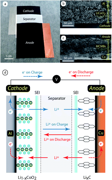 (a) Photograph of a conventional lithium ion battery active layer stack including a LiCoO2 cathode composite on aluminum, microporous poly(olefin) separator, and MCMB anode composite on copper. Cross-sectional scanning electron micrographs depict the microstructure for the (b) cathode and (c) anode, respectively. (d) Schematic illustrating the mechanism of operation for a lithium ion battery including the movement of ions between electrodes (solid lines) and the electron transport through the complete electrical circuit (dashed lines) during charge (blue) and discharge (red) states. Figure 2d adapted from ref. 6.