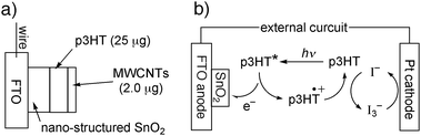 (a) The modified electrode of FTO/SnO2/p3HT/CNTs. (b) Mechanism for the solar cell with FTO/SnO2/p3HT/CNTs electrode, Pt counter electrode and I−/I3− electrolyte. The role of CNTs is omitted for clarity.
