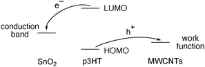 Schematic diagrams of the conduction band of SnO2, HOMO and LUMO of p3HT and the work function of MWCNTs, showing the electron transfer from the photo-excited p3HT to SnO2 and the role transfer to MNCNTs.