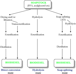 Schematic representation of different routes used to convert soapstock to biodiesel.