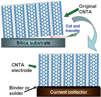 Schematic diagram of the transfer technique for CNTA electrode fabrication.