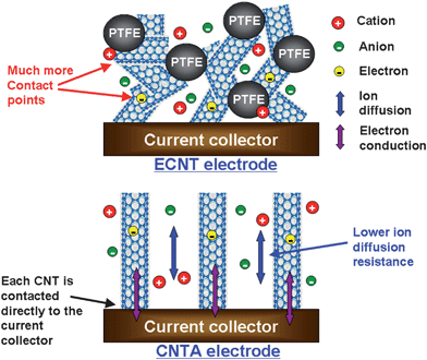 Schematic model comparing the microstructure, ion diffusion, and electron conduction in ECNT and CNTA electrodes.