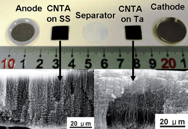 Image of CNTA electrodes used to fabricate the button-like EC. Insets are SEM images of CNTAs.
