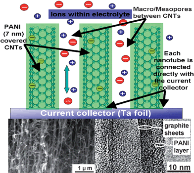 Schematic representation of the microstructure and energy storage characteristics of the PANI/CNTA composite. Left and right insets are a SEM image of a PANI/CNTA composite and a TEM image of a PANI covered CNT in the composite.