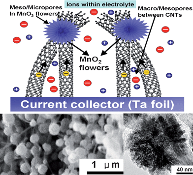 Schematic representation of the microstructure and energy storage characteristics of MnOx/CNTA composite. The left and right insets show a SEM image of MnOx/CNTA composite and TEM image of MnOx nanoflower on CNTs, respectively.