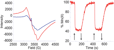 
          Left: EPR spectra at 6 K of 2–TiO2 NPs functionalized with MnII(OAc)2 in the dark before irradiation () and with visible light irradiation (); Right: Time-dependent Mn(ii) %age at 3106 G with light on (↑) and off (↓).