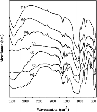 
              FT-IR spectra of pristine silica (a) and IMIS1–6 (b–g).