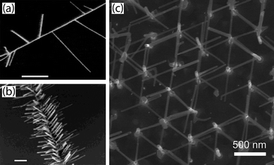 
            Nanowire branching from sequential addition of VLS catalysts. Sequential catalyst application can be used to control branch density as shown with Si nanowires (a,b).27 Scale bars are 1 µm. This technique can be used to create an array of interconnected nanowires (c) by connecting patterned vertically aligned nanowires as shown in this plan-view electron micrograph.31 Images reproduced with permission ACS.