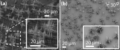 Epitaxial growth of hyperbranched nanowires of PbS on (a) single crystalline NaCl, and (b) mica.30 Images reproduced with permission RSC.