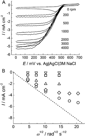 (A) Cyclic voltammograms of BOD adsorbed on AuNP/AuE under O2-saturated conditions at pH 7.0. The scan rate was 10 mV s−1 with the electrode rotation rate as indicated. (B) Levich plots for O2reduction currents at 0 V at BOD adsorbed on the thiol-unmodified AuNP electrode (circle) and thiol-modified AuNP electrodes (MPA, diamond; ME, upright triangle; AET, square; PT, inverted triangle).