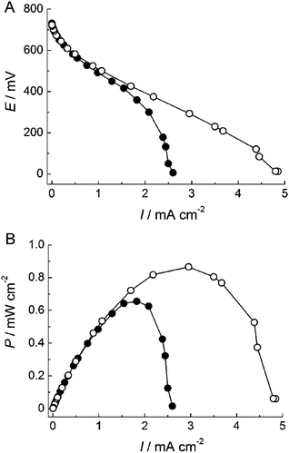 (A) Polarization curves and (B) dependence of power density (P) on current density (I) for the fructose/O2 biofuel cell. The measurements were performed in 0.1 M acetate buffer (pH 6.0) containing 200 mM d-fructose (●) without stirring and (○) with stirring solution under O2-saturated conditions at 25 °C.