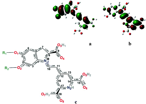 HOMO (a) and LUMO (b) for betanidin+ (c) where R1 = R2 = H. From [ref. 44].