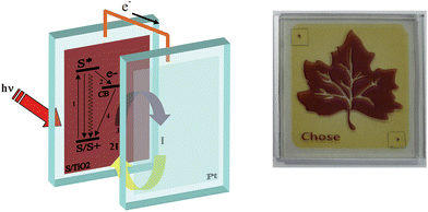 Schematic representation of the working principle and assembly of a sandwich type cell (left). Example of advanced DSSC currently under development (Polo Solare Organico Regione Lazio).