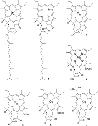 Structure of natural chlorophyll derivatives: (1) chlorophyll a; (2) pheophytin; (3) pheophorbide a; (4) Mg chlorin e6; (5) chlorin e6; (6) Cu chlorine e6; (7) Cu-2-α-oxymesochlorin.