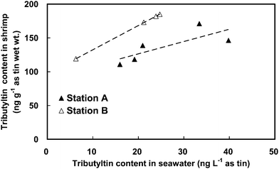 The correlations of tributyltin content in the seawater with tributyltin content in the shrimps at Station A during the cooler period (filled triangle; Y = 1.8 X + 89.9 [r = 0.780, p < 0.05]) and Station B (open triangle; Y = 3.6 X + 96.6 [r = 0.999, p < 0.01]).