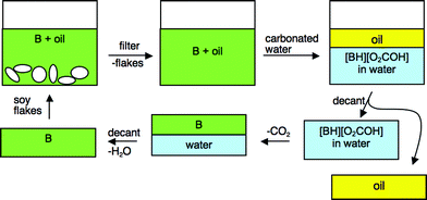 A process utilizing a switchable-hydrophilicity solvent (hydrophobic state labelled “B”) to extract soybean oil followed by switching of the solvent to a hydrophilic state ([BH][O2COH]) so that it is easily extracted by water.