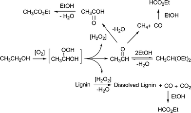 Estimated overall reaction mechanism.