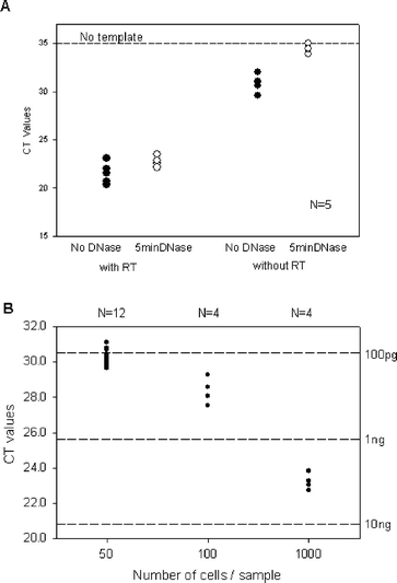 Quality of RNA isolated using the microfluidic devices. A: Removal of genomic DNA from the isolated RNA. RNA samples with and without on-chip 5 min DNase treatment, isolated from 50 cell samples using the microfluidic device, are split into two and GAPDHtranscript is quantified by qPCR using the GAP330 primer pair, in the presence and absence of reverse transcriptase. No significant amount of DNA is detected in the sample after the DNase treatment. B: Consistency of RNA amount isolated from samples of 50, 100 and 1000 cells. Total RNA was isolated using the microfluidic device and its quantity estimated using qPCR and a GAP330 primer pair.