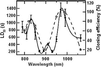 Relationship between wavelength and cell photodamage for E. coli (solid line and left axis) and CHO cells (dashed line and right axis). The higher the LD50 and % cloning the less damage the laser causes for a given wavenumber. Figure reproduced from Neuman et al.40 with permission from the Biophysical Society.