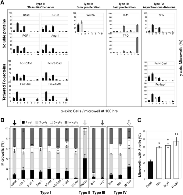 Identification of proteins that significantly influence HSC proliferation kinetics at the clonal level. Quantification of the distribution of cells per microwell after 100 h in culture reveals HSC responsiveness to soluble and immobilized Fc-chimeric protein cues characteristic of the niche (n = 70–100 microwells per condition and per experiment analyzed; averages of three independent experiments with standard deviations are shown). Candidate factors were separated into four groups according to their growth behavior compared to the basal conditions: “basal-like” (Type I), slow proliferation (Type II; Wnt3a), fast proliferation (group III; IL-11 and TPO), and asynchronous divisions (group IV; Shh, N-Cad and Jag-1). (B) Identification of soluble and tethered putative niche cues that alter proliferation kinetics compared to the basal medium control via binning of the number of progeny of single HSCs into four groups at 100 h. (C) An additional analysis was performed for Type IV proteins to determine the percentage of microwells that contained 3 cells at 24 h time intervals over a period of one week compared to basal conditions. Care was taken to only score novel appearances of 3 cells per microwell at each time point in order to avoid counting the same data twice. T test for unequal sample size was used (n = 57, 175, 65, and 80 microwells for basal, N-Cad, Jag-1, and Shh, respectively, ±SEM with the significance level *p <.05 and **p < .01).