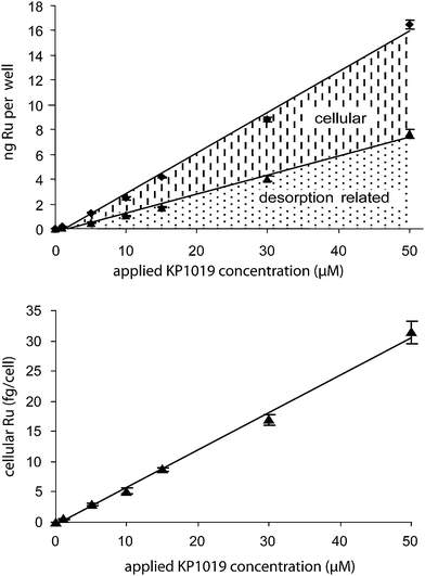 Cellular uptake of KP1019 in a concentration range up to 50 µM. top: (♦) shows total Ru (adsorbed/desorbed to/from the plates + cellular), whereas (▲) is the corresponding adsorption/desorption blank. bottom: Subtraction of the absorbed/desorbed amount from the total amount and division by the cell number led to the displayed graph, which was used for determination of LOD and LOQ.