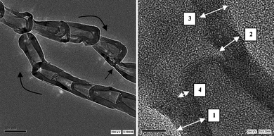 TEM images of bamboo-shaped CNTs:34 1) wall graphitic layers, 2) dangling graphitic layers, 3) compartmentalization of original graphitic layers, and 4) compartment graphitic layers. Reprinted by permission of ref. 34. Copyright the American Chemical Society 2006.