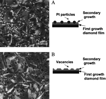 SEM images of Pt/diamond composite electrode (A) before and (B) after acid etching in aqua regia. Pt particles with diameters of 50 to 300 nm are seen on the surface before the acid etching (A). Numerous pits are observed in the diamond film after acid etching (B). These pits are the voids left after dissolving the metal and have diameters of 50 to 300 nm. This observation confirms that the diamond film does surround the base of some of the metal particles, entrapping and anchoring them in the surface microstructure. The depth of the pits depends on the secondary diamond-growth time.84 Reprinted by permission of ref. 84. Copyright the Electrochemical Society, 2003.
