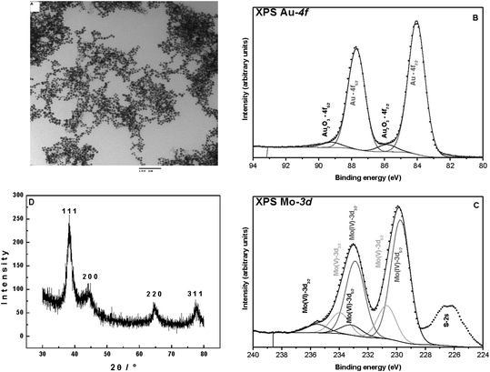 A) TEM images of Au0 nanoparticles synthesized by the reduction of HAuCl4 with Na2[Mo3(µ3S)(µS)3(Hnta)3]. The concentration ratio γ = [HAuCl4]/[Oxothiometalate] was 1. The initial concentration of the oxothiometalate was 0.5 mM. B) XPS analysis: deconvolution of the gold core 4f level XPS spectrum. C) XPS analysis: deconvolution of the Mo core 3d level XPS spectrum and the sulfur 2s level. D) XRD analysis of the Au0 nanoparticles (from Fig. 2, ref. 50).
